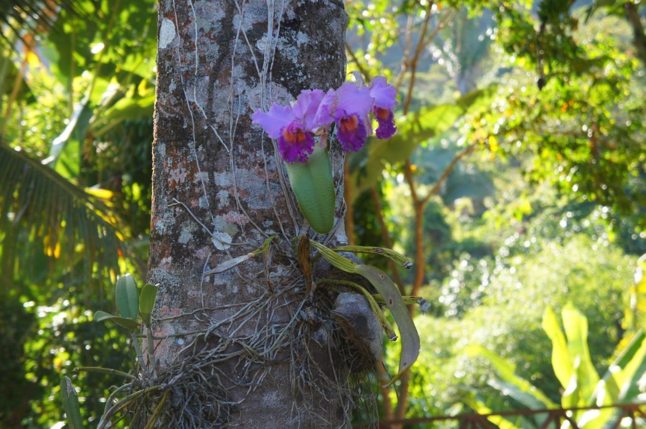 Hotel Cantinho Das Flores Guaramiranga Kültér fotó