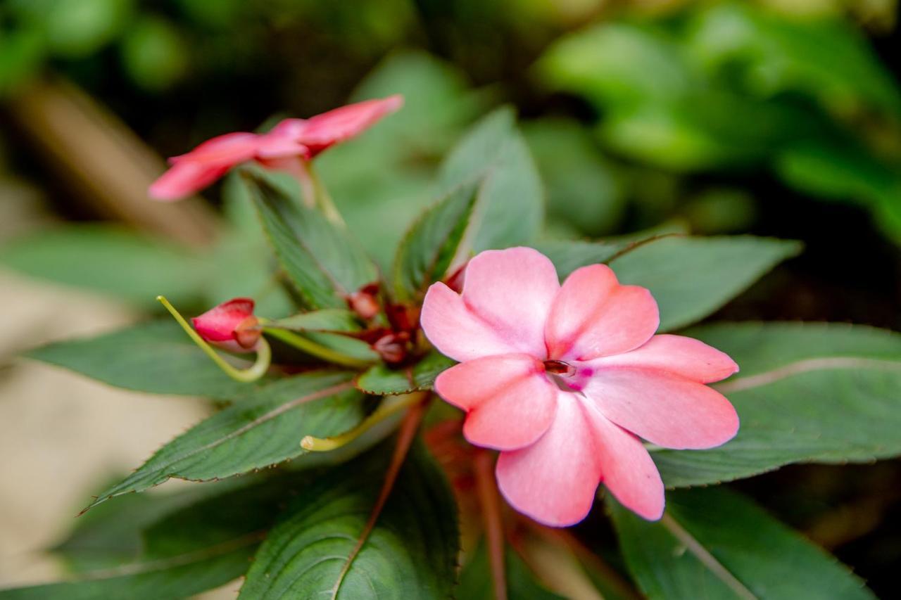 Hotel Cantinho Das Flores Guaramiranga Kültér fotó